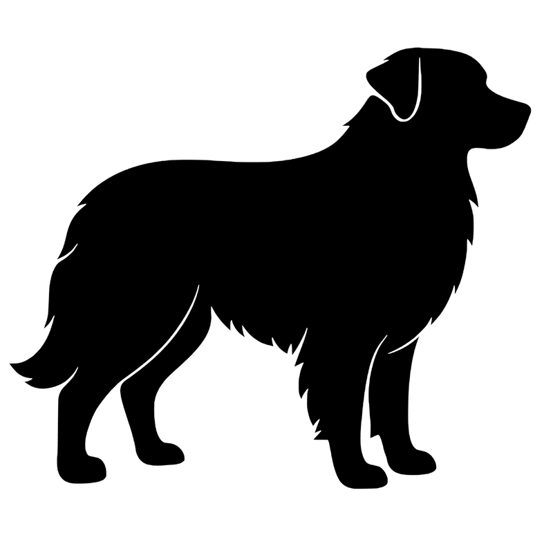 Australian Shepherd– Enkelen Motief Sticker