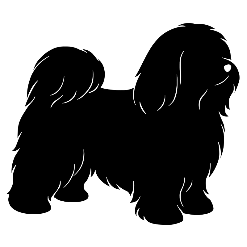 Bichon havanaise – Enkelen Motief Sticker