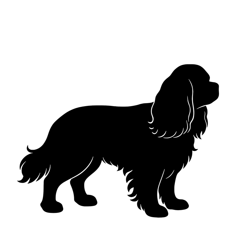 Cavalier King Charles Spaniel – Enkelen Motief Sticker