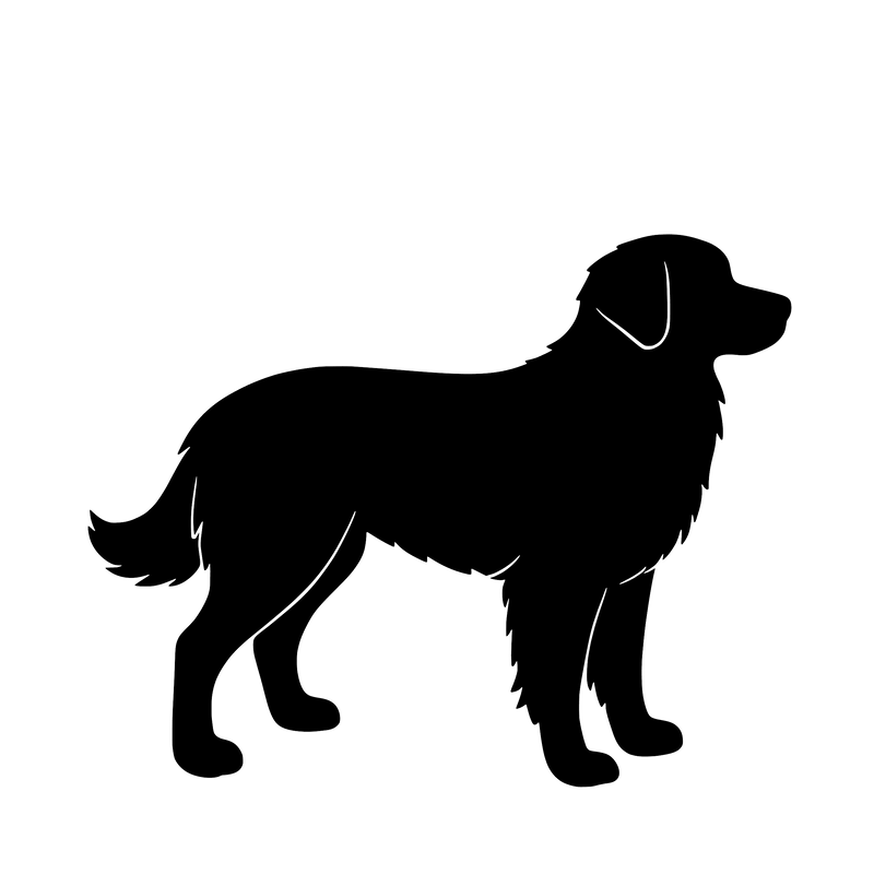 Nova Scotia Duck Tolling Retriever – Enkelen Motief Sticker