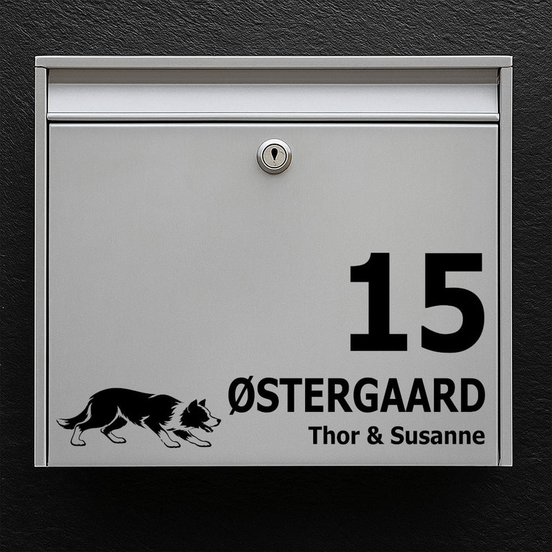 Brievenbussticker met Kortharige Border Collie (drijfhouding)