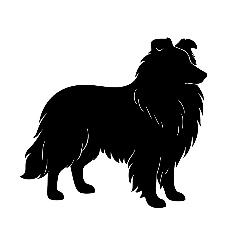 Shetland Sheepdog – Enkelen Motief Sticker