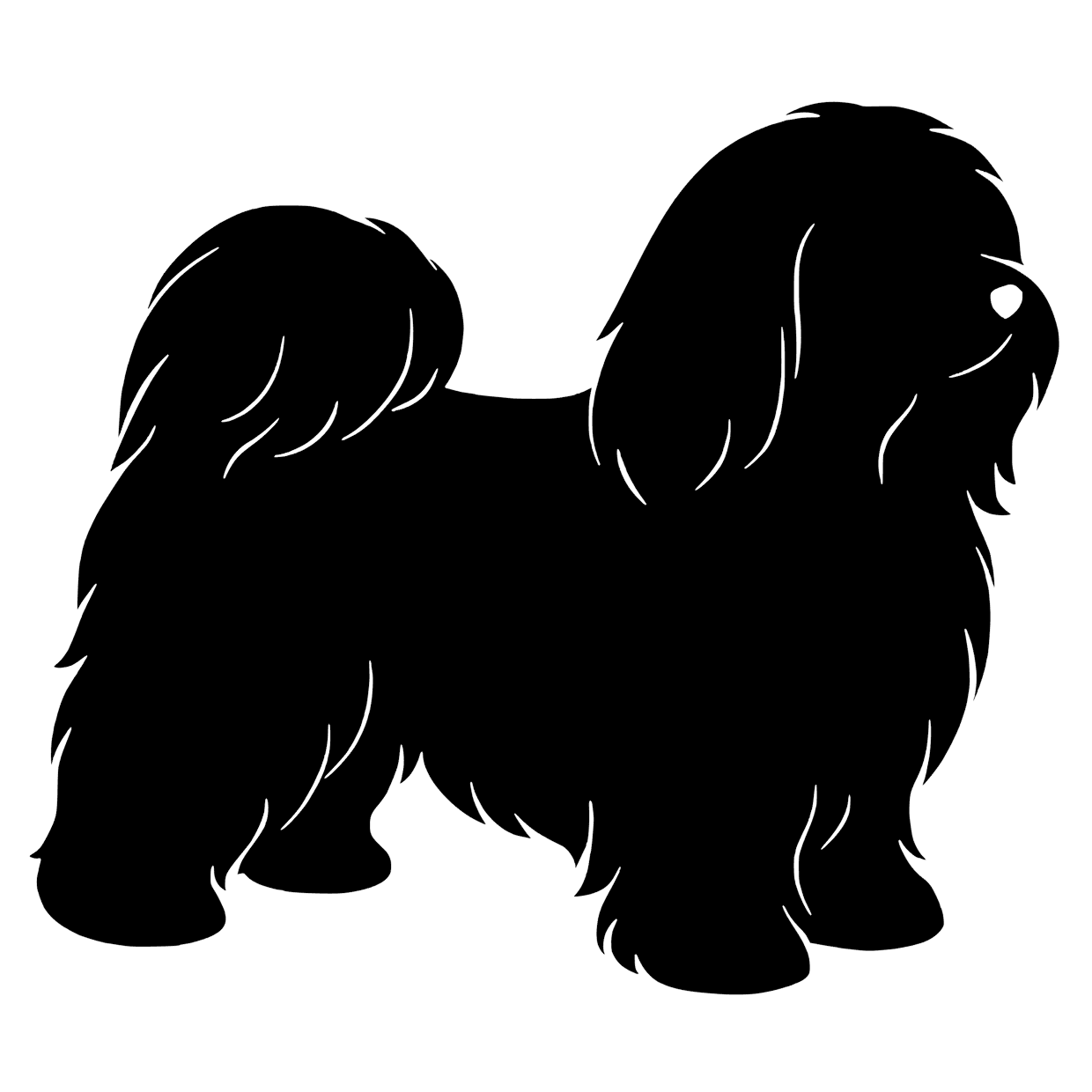 Bichon havanaise – Enkelen Motief Sticker