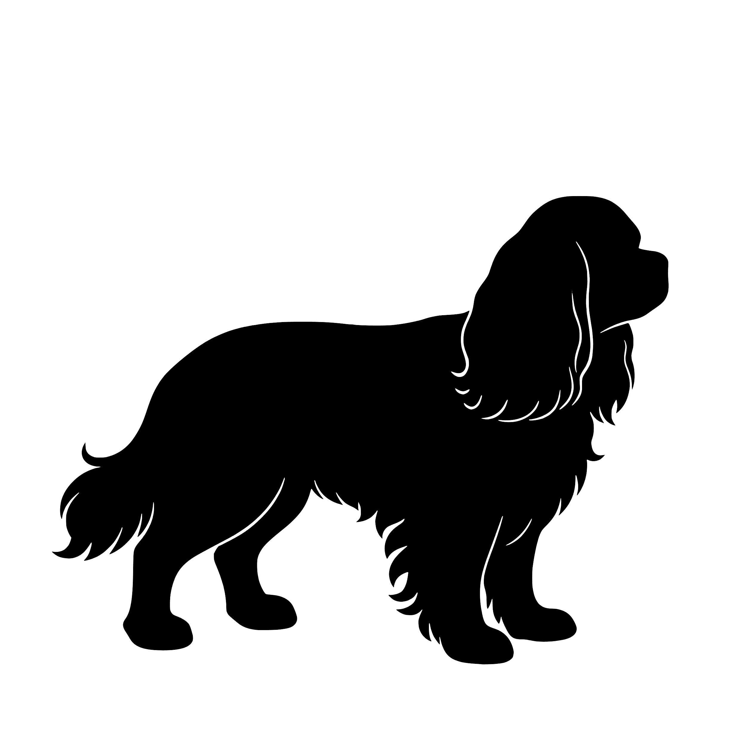 Cavalier King Charles Spaniel – Enkelen Motief Sticker