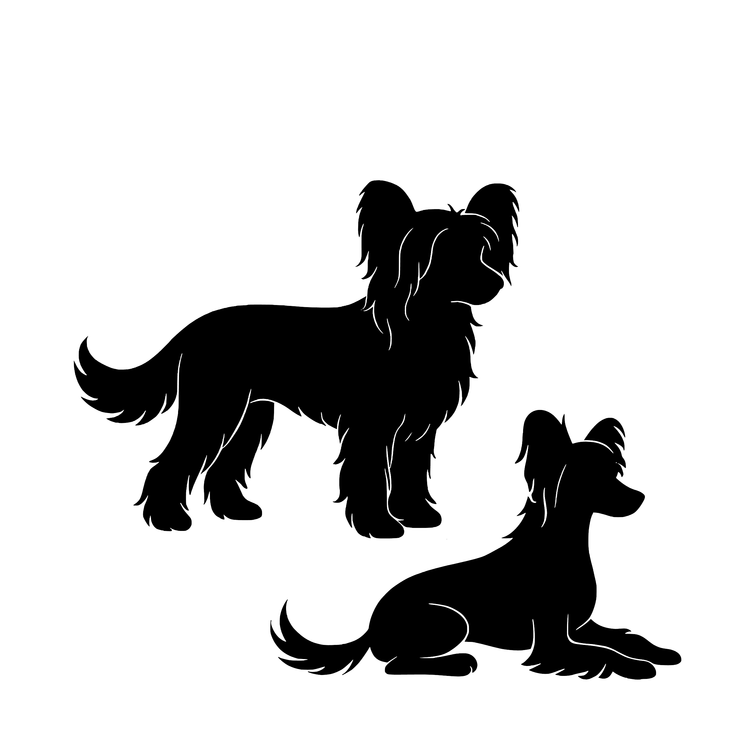 Chinese Crested – Enkelen Motief Sticker