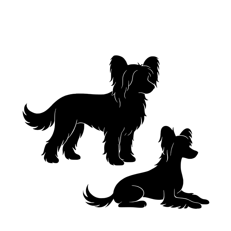 Chinese Crested – Enkelen Motief Sticker