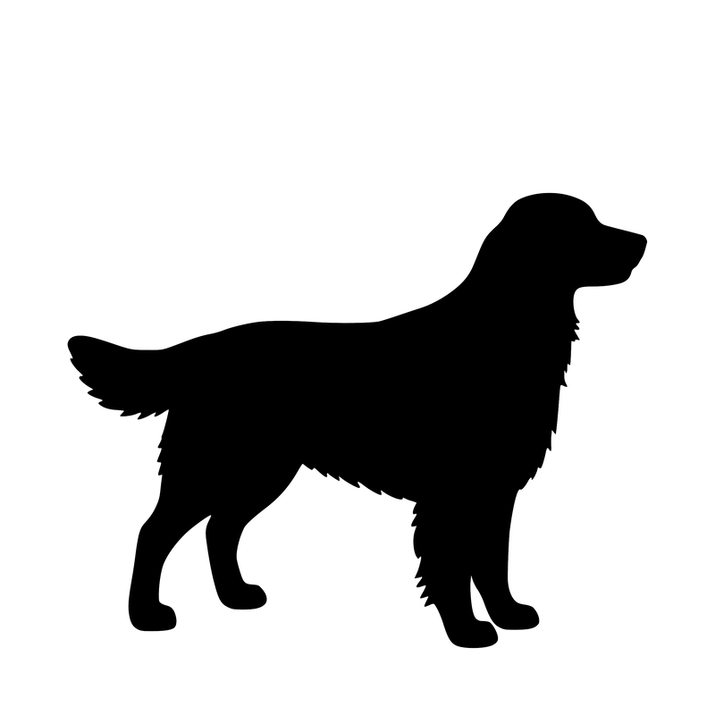 Golden Retriever– Enkelen Motief Sticker