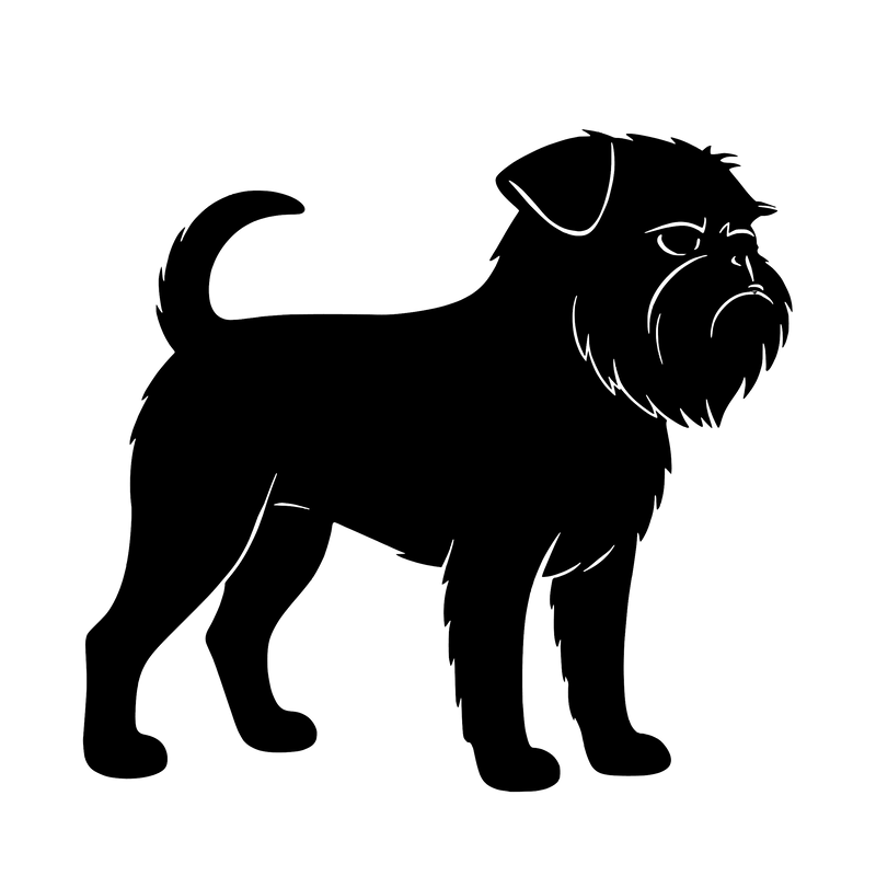 Griffon Bruxellois – Enkelen Motief Sticker