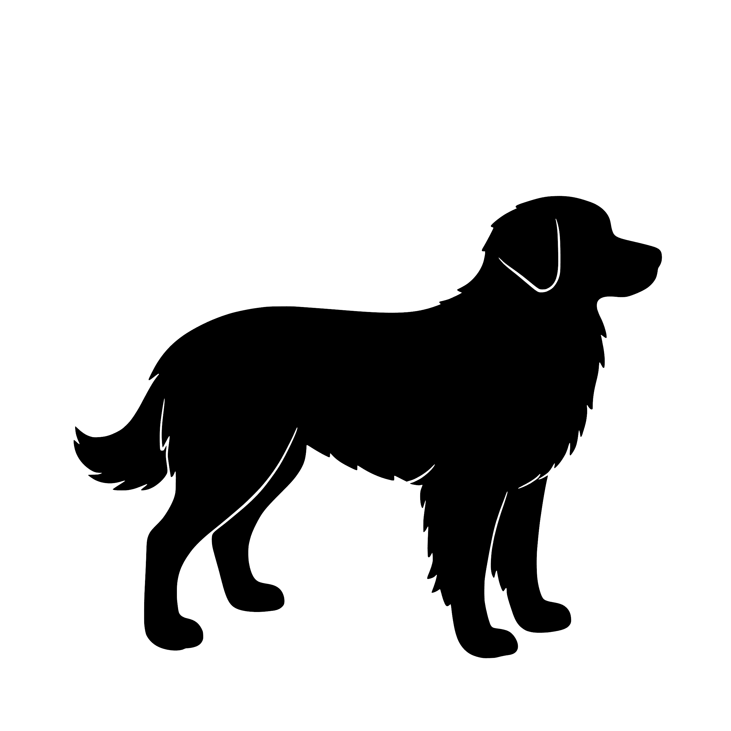 Nova Scotia Duck Tolling Retriever – Enkelen Motief Sticker