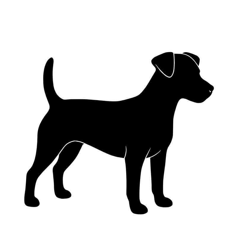 Russell Terrier – Enkelen Motief Sticker