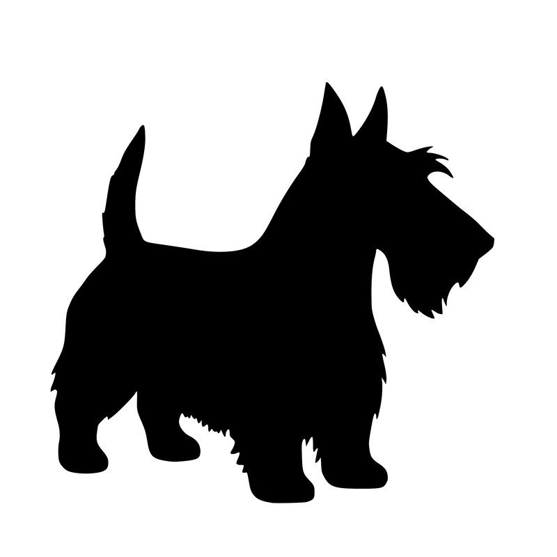 Scottish Terrier – Enkelen Motief Sticker