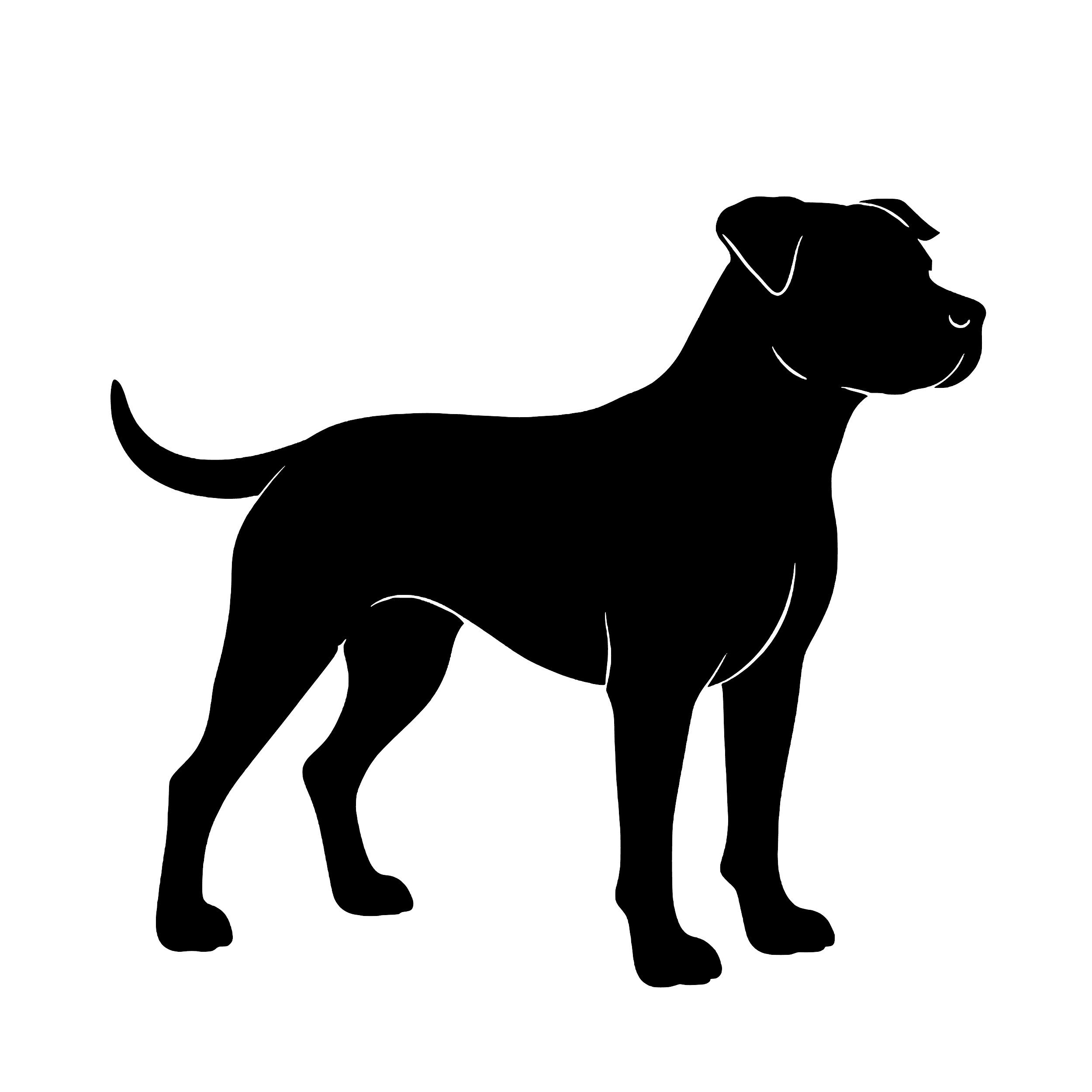 Spaanse Bulldog (Alano Español) – Enkelen Motief Sticker
