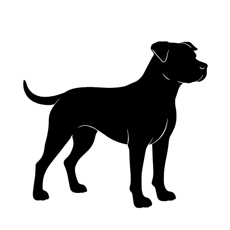 Spaanse Bulldog (Alano Español) – Enkelen Motief Sticker