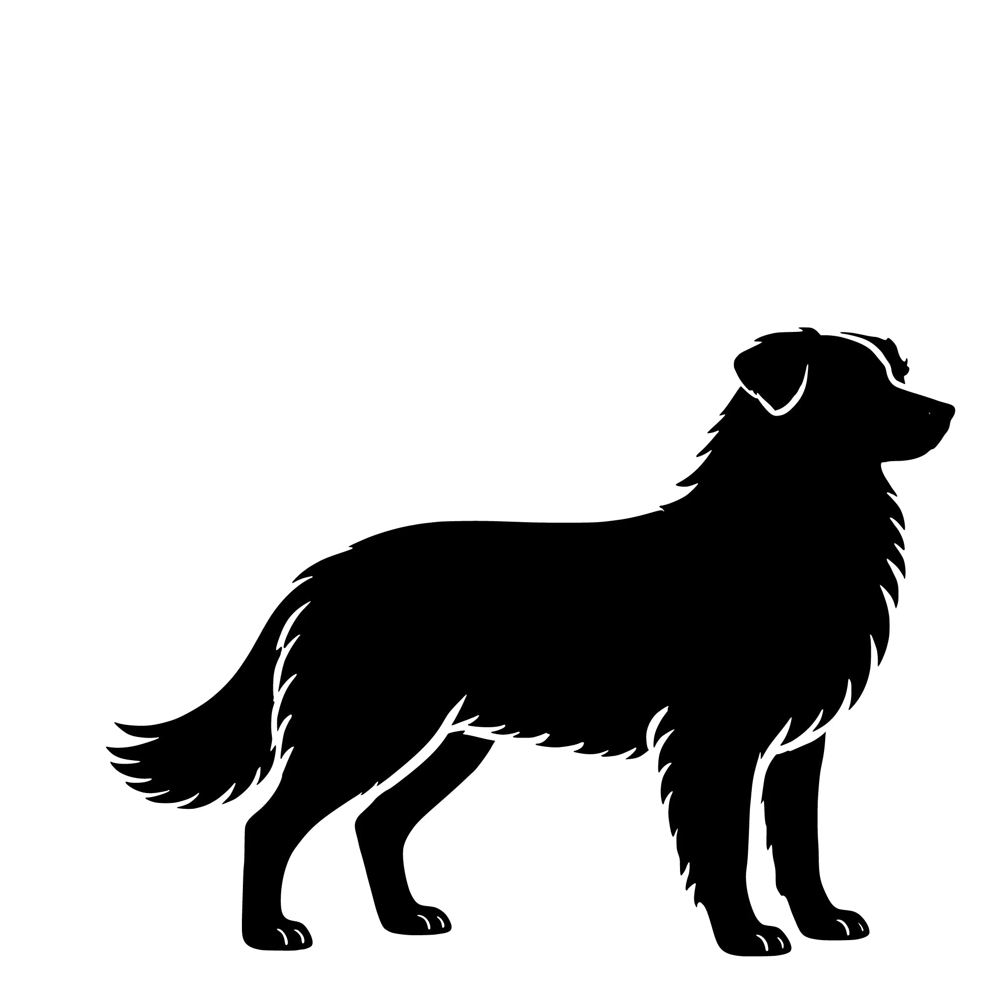 Australian Shepherd– Enkelen Motief Sticker