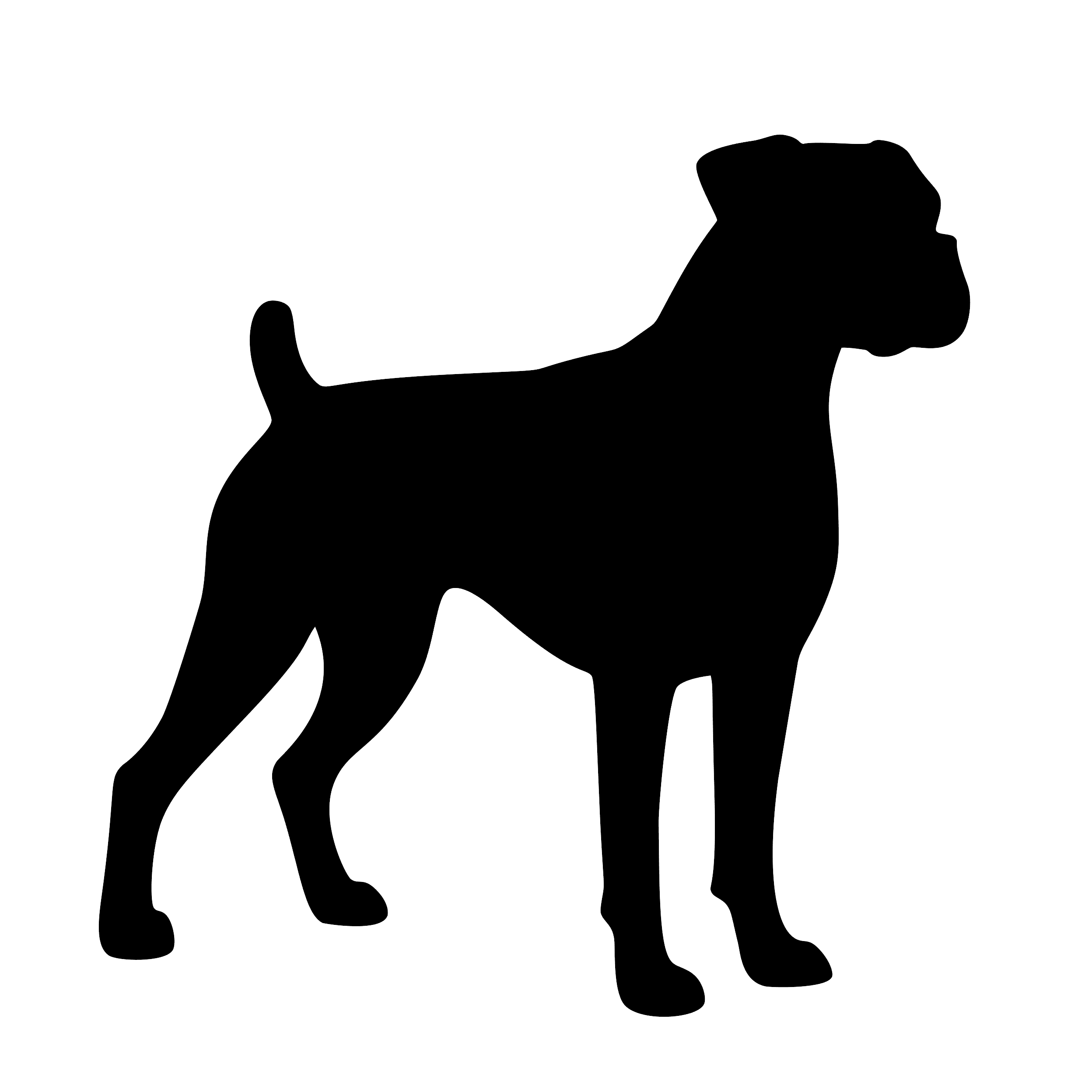 Boxer – Enkelen Motief Sticker