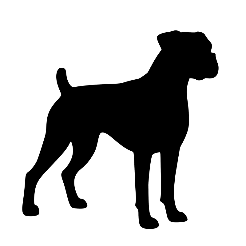 Boxer – Enkelen Motief Sticker