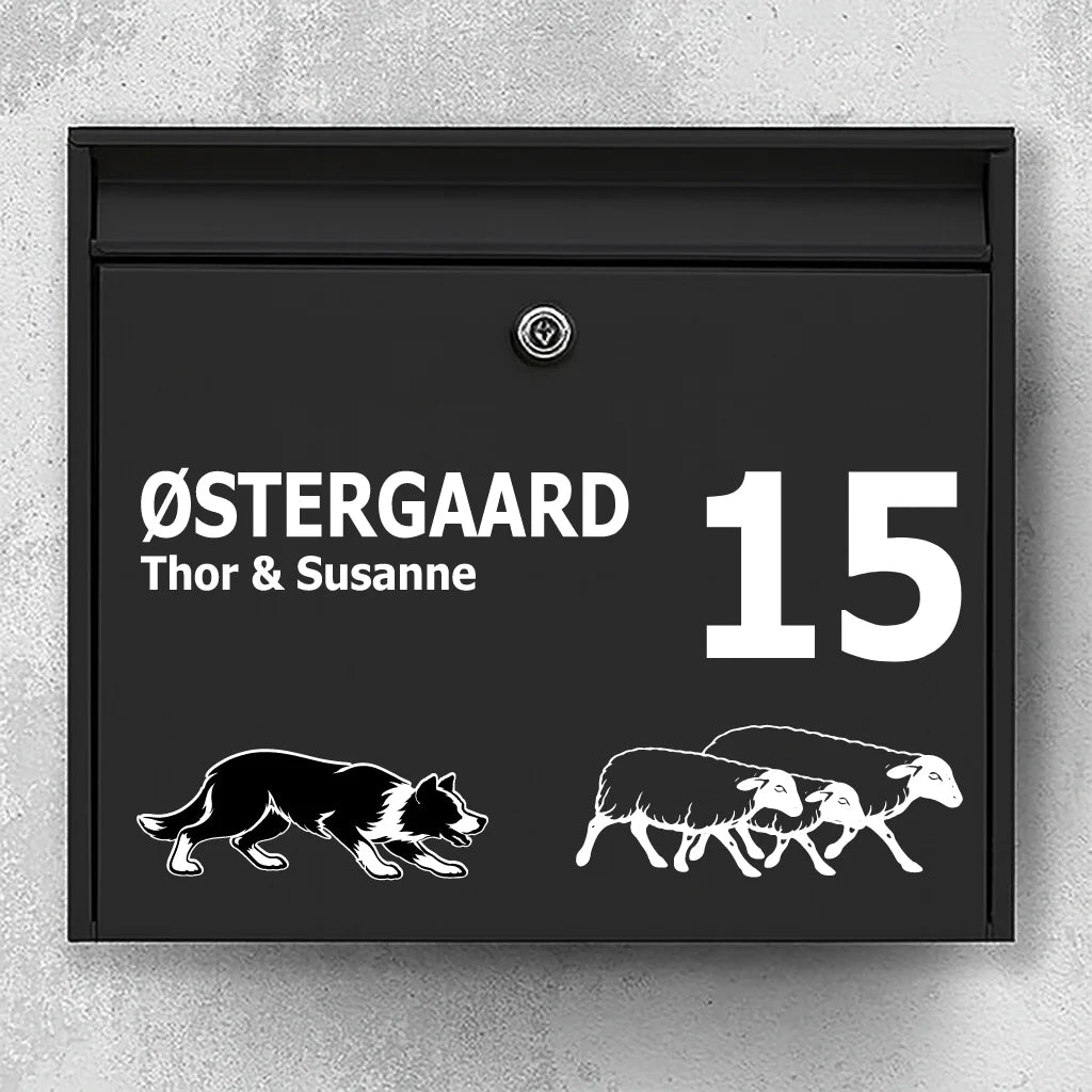 Brievenbussticker met Border Collie met schapen