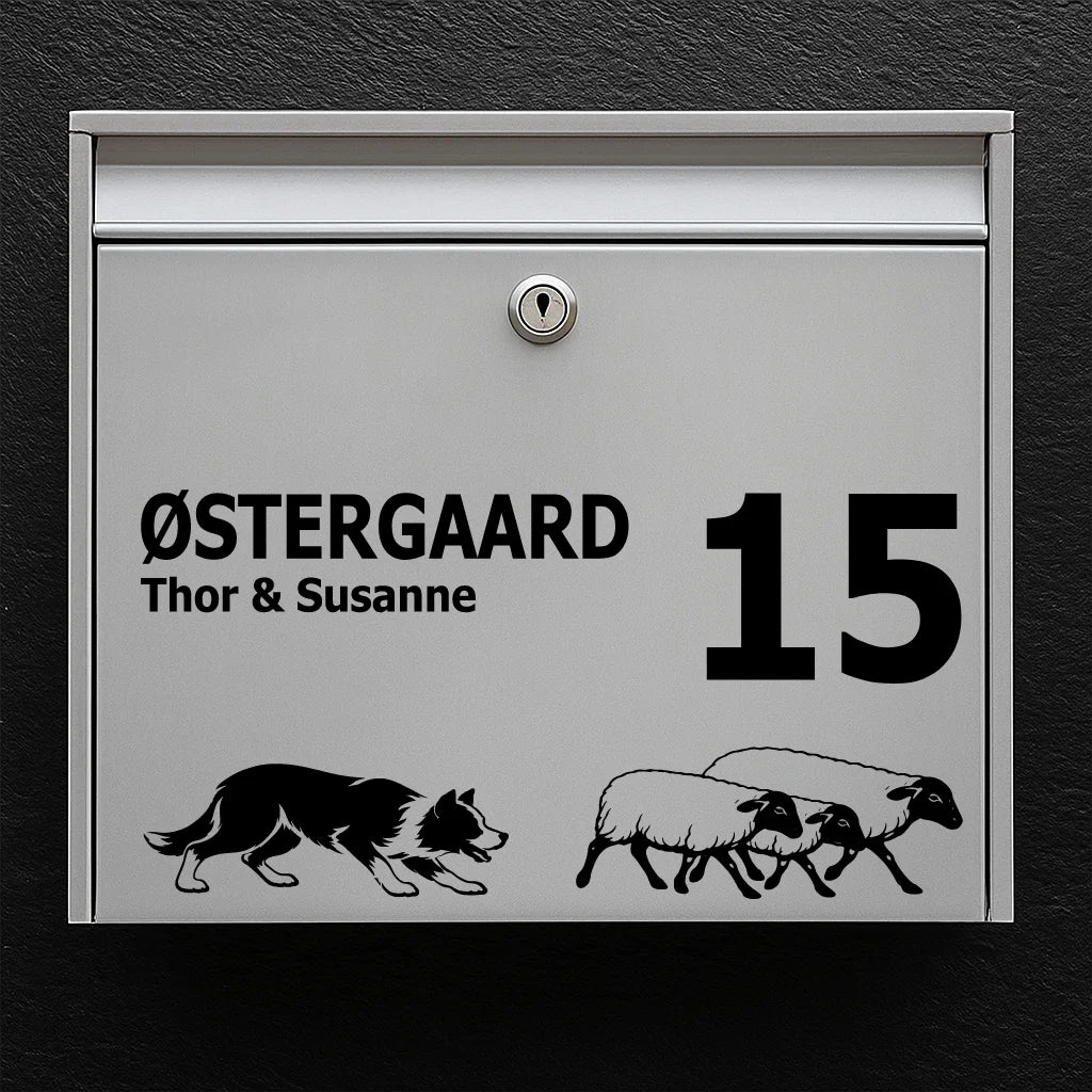 Brievenbussticker met Border Collie met schapen