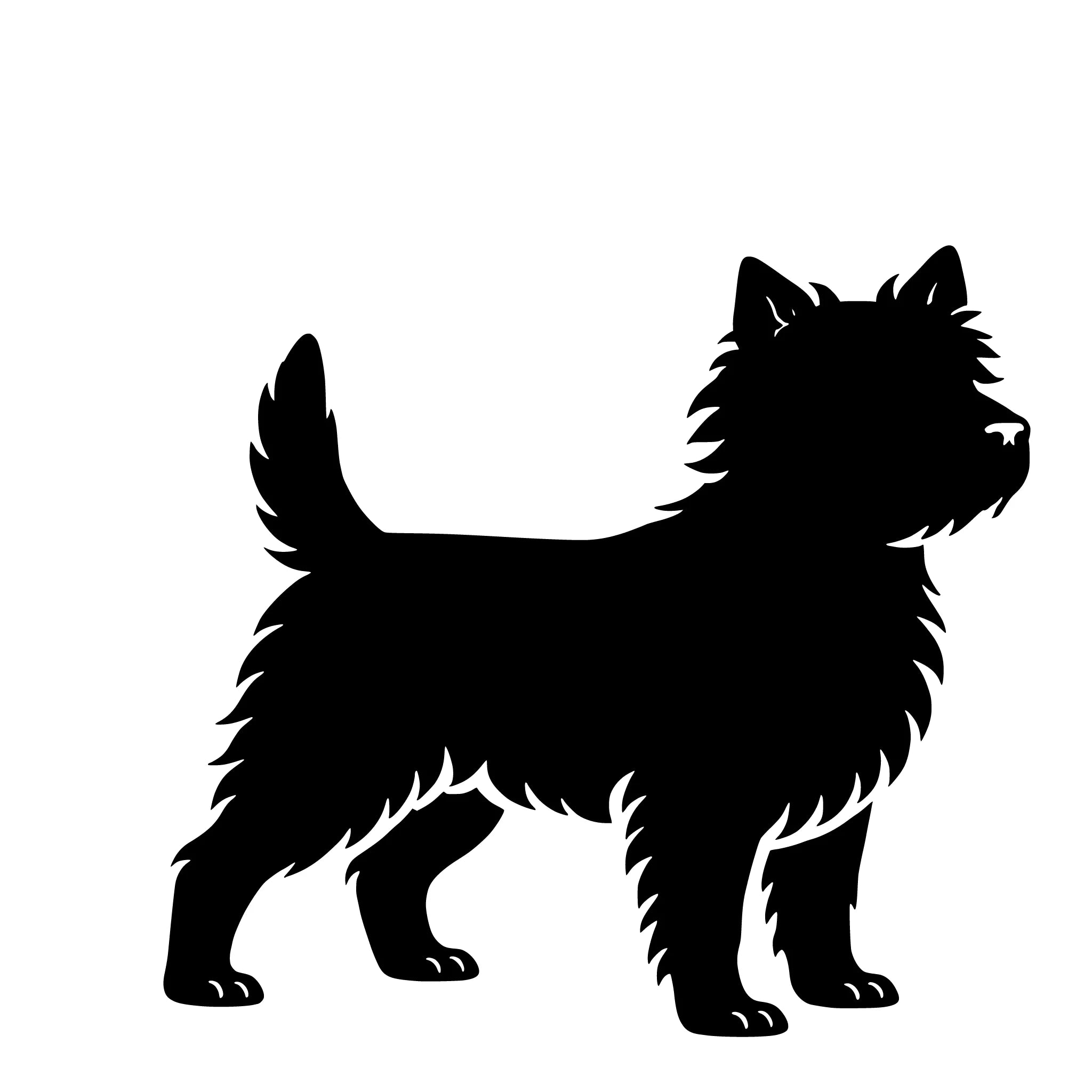 Cairn terrier – Enkelen Motief Sticker