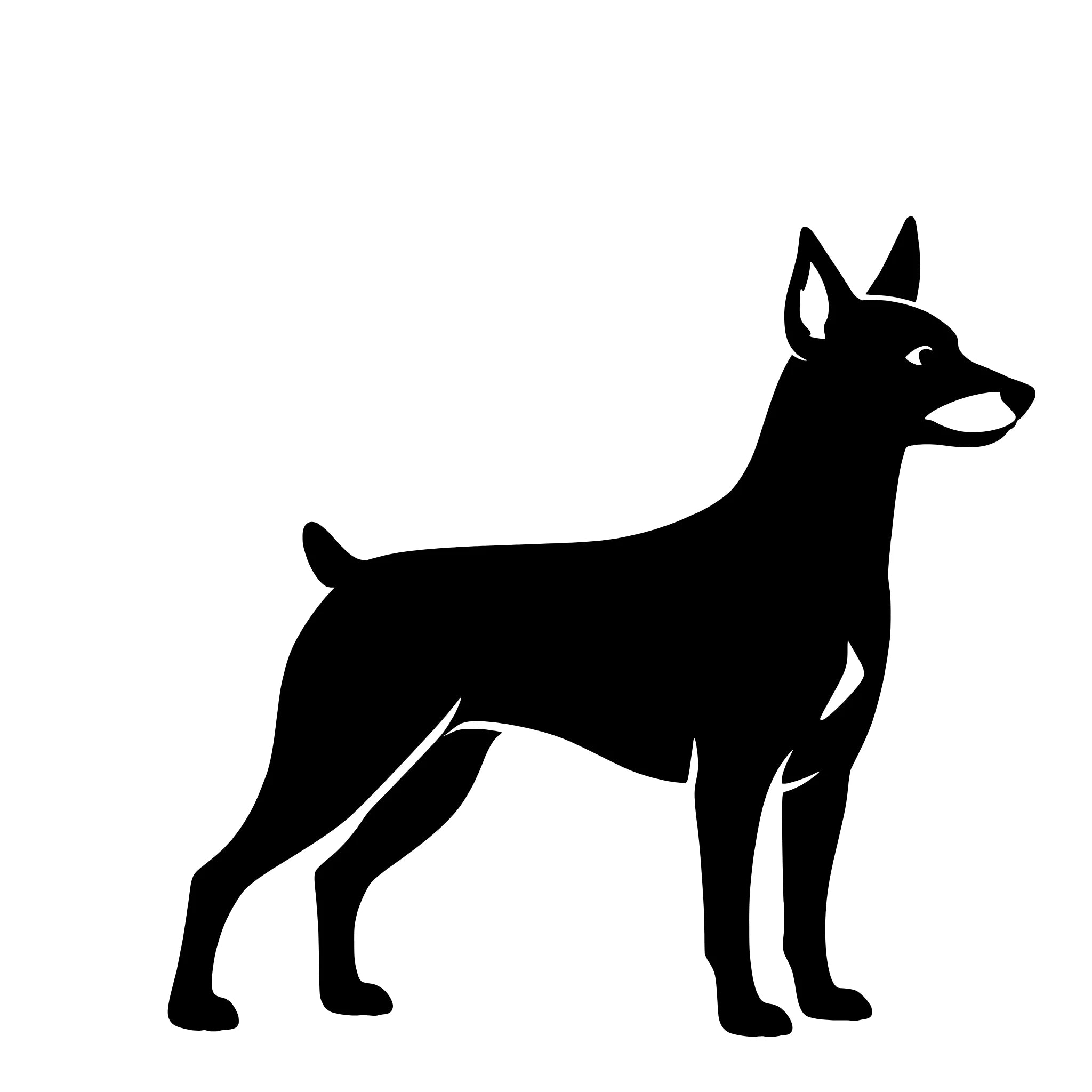 Dwergpinscher – Enkelen Motief Sticker