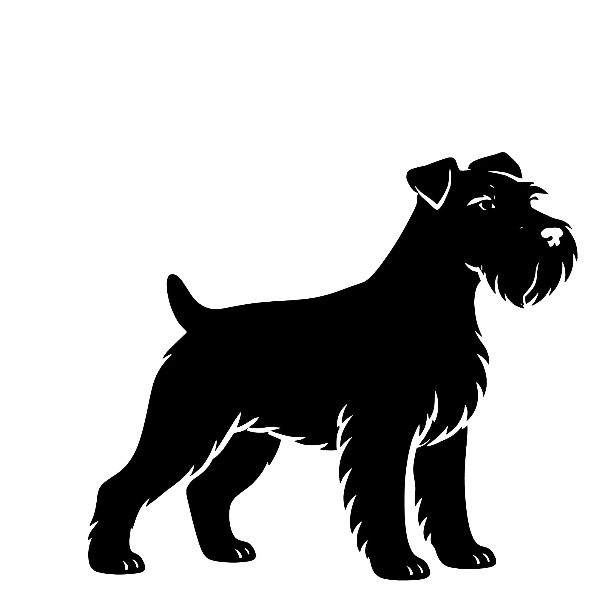 Dwergschnauzer – Enkelen Motief Sticker