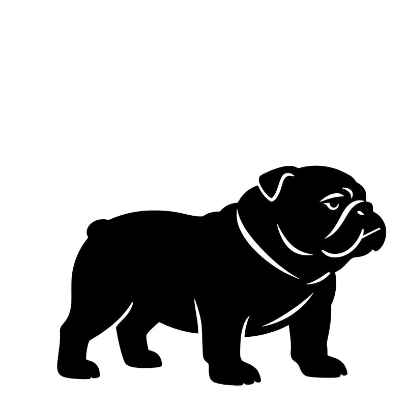 Engelse bulldog – Enkelen Motief Sticker