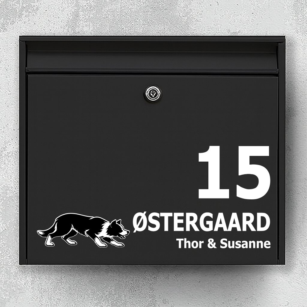 Brievenbussticker met Kortharige Border Collie (drijfhouding)