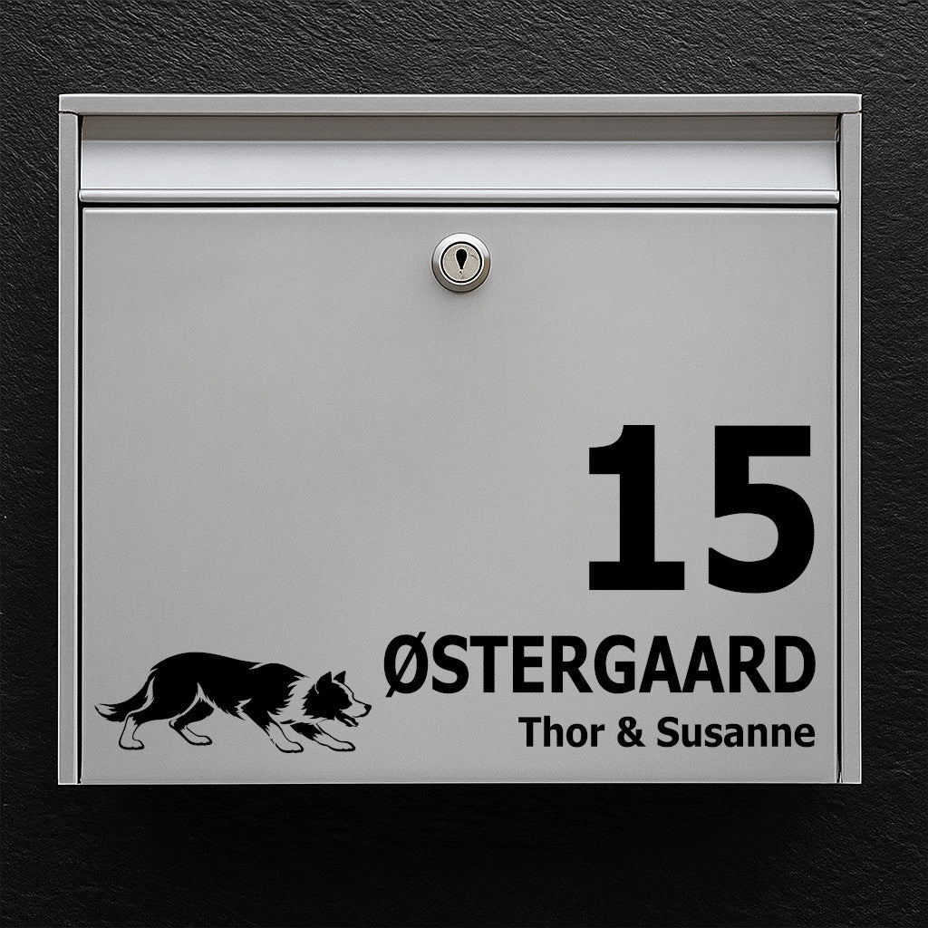 Brievenbussticker met Kortharige Border Collie (drijfhouding)