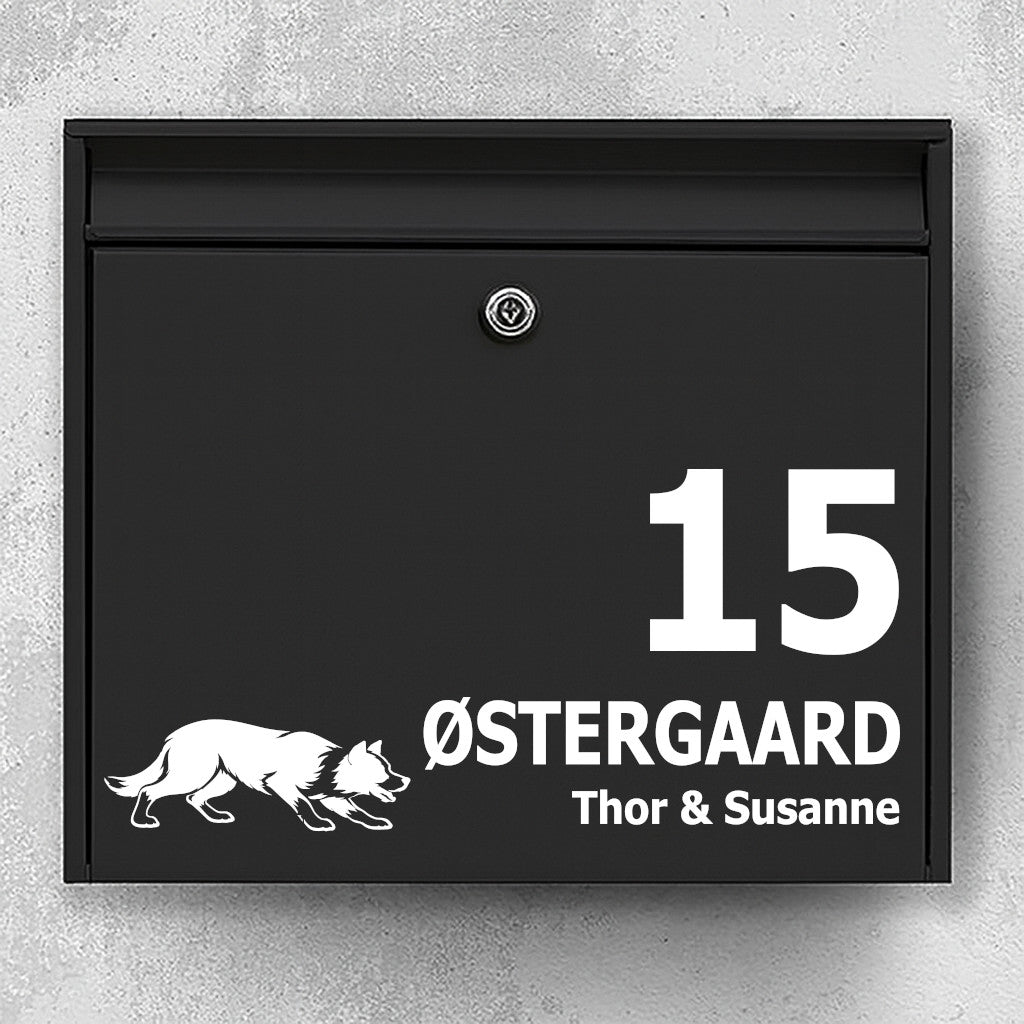 Brievenbussticker met Kortharige Border Collie (drijfhouding)