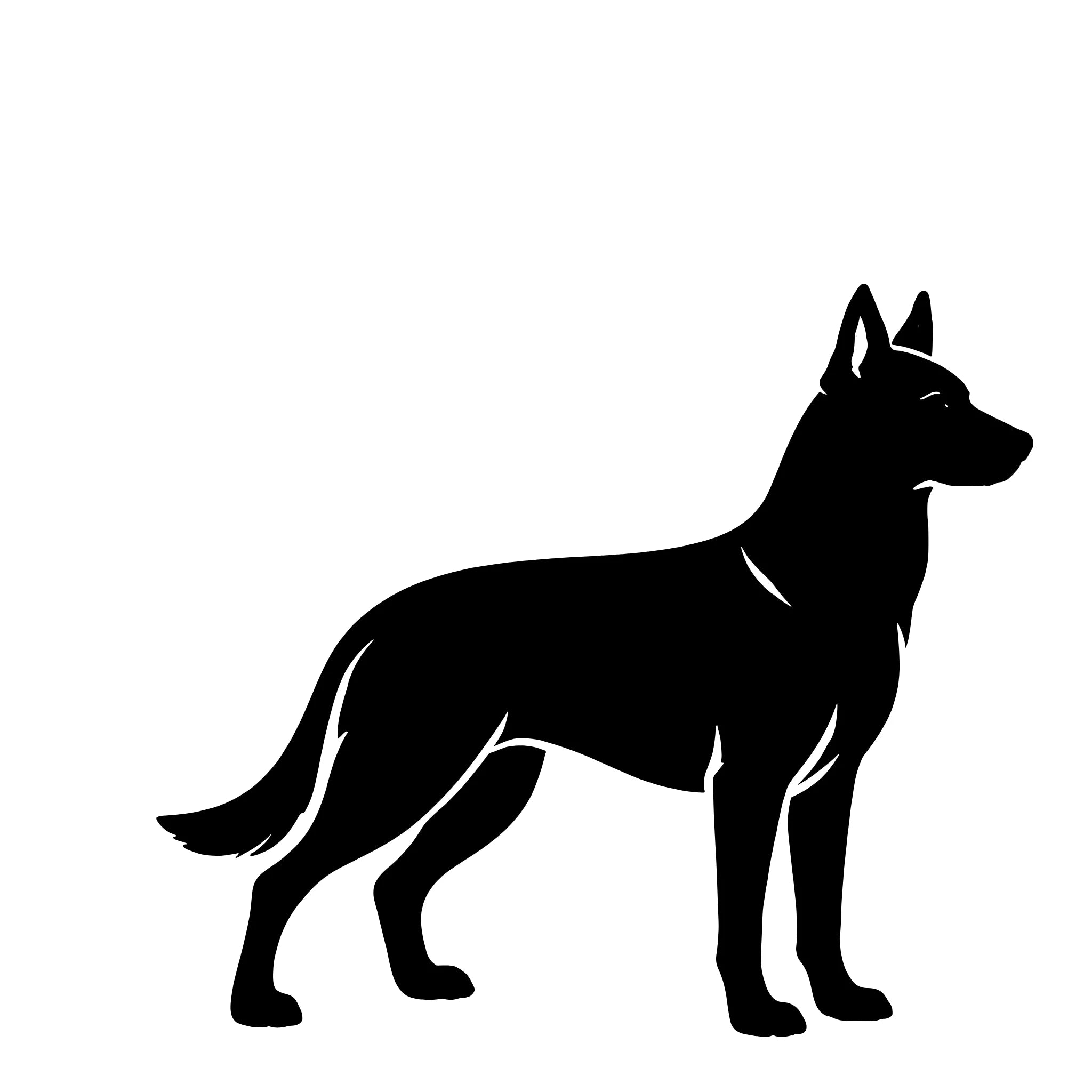 Mechelse herder (Malinois) – Enkelen Motief Sticker