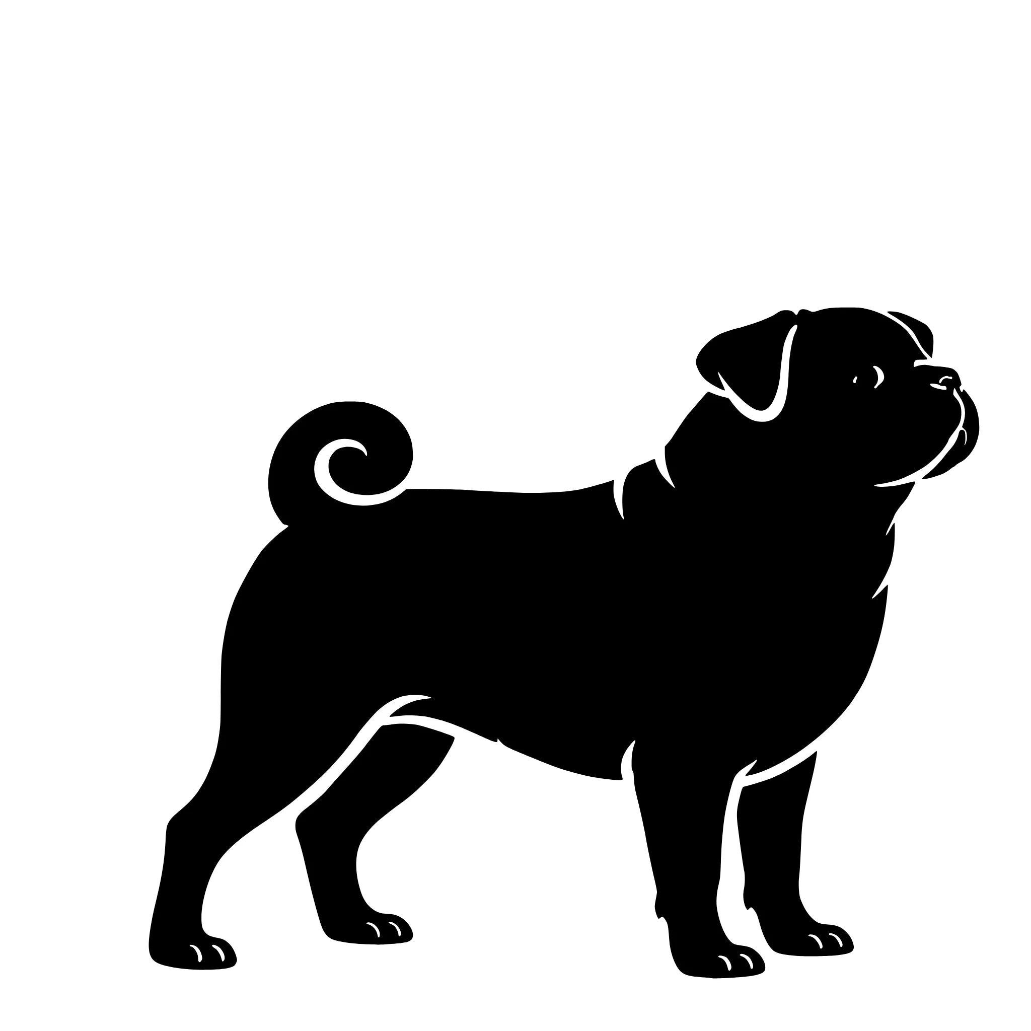 Mops (Pug) – Enkelen Motief Sticker