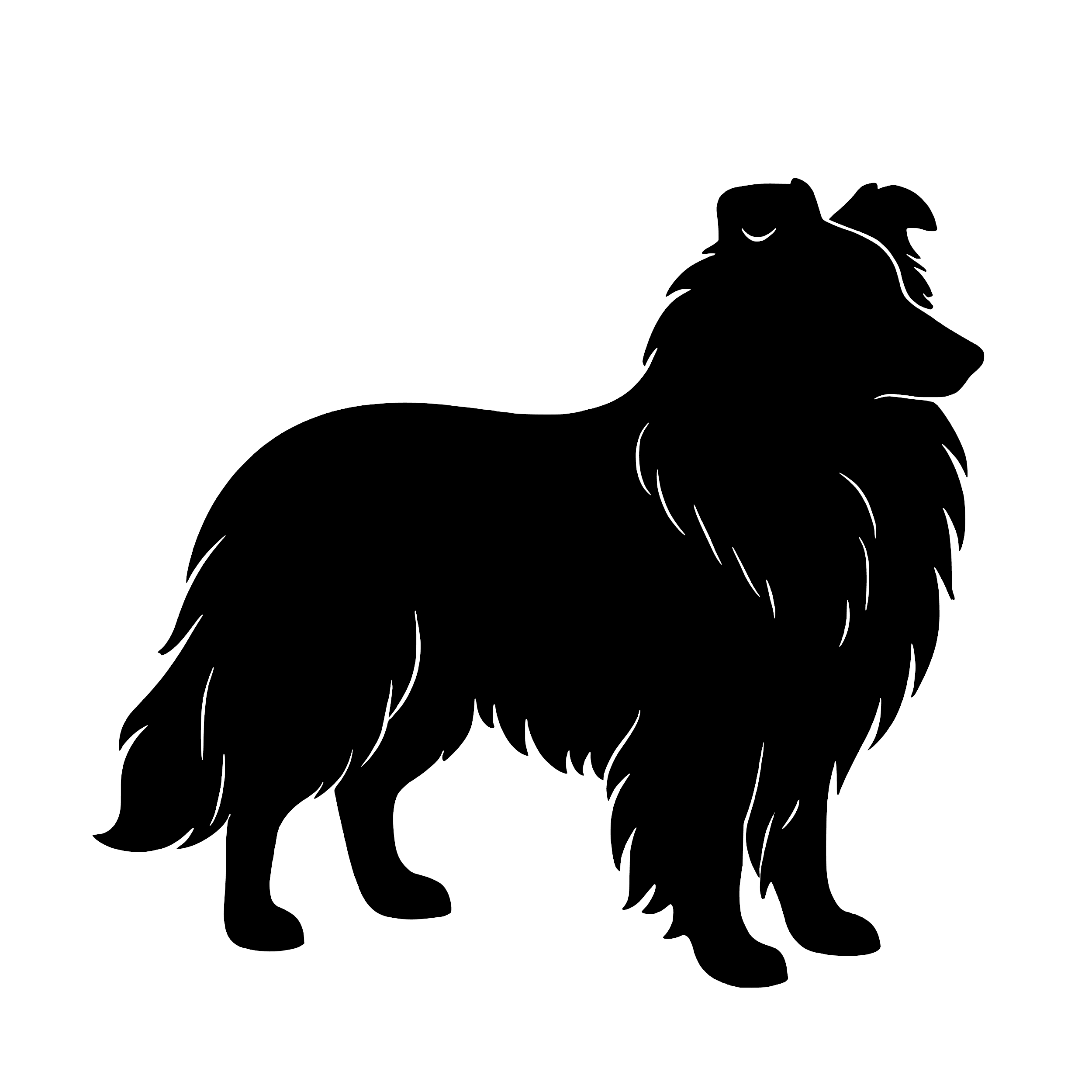 Shetland Sheepdog – Enkelen Motief Sticker